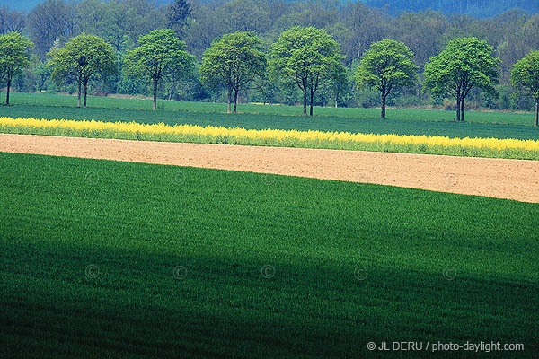 agriculture